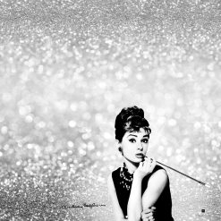 Peniuaras LABOR PRO ,,AUDREY''