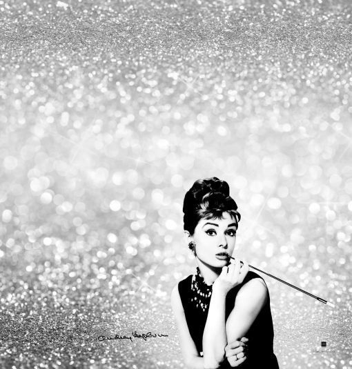 Peniuaras LABOR PRO ,,AUDREY''