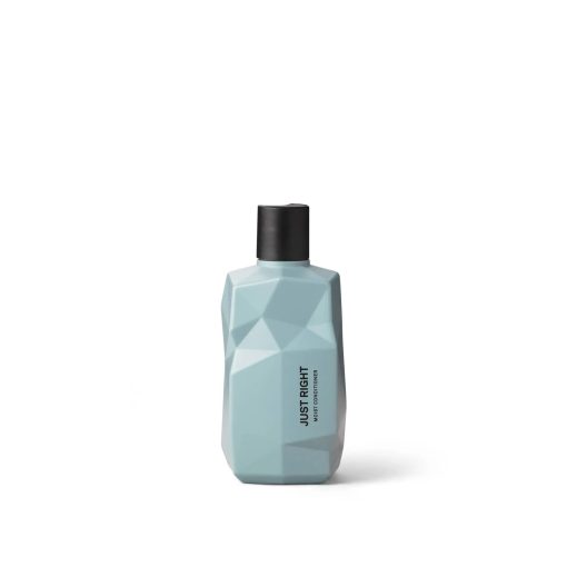 NINE YARDS JUST RIGHT Moist Conditioner intensyviai drėkinantis kondicionierius 300ml
